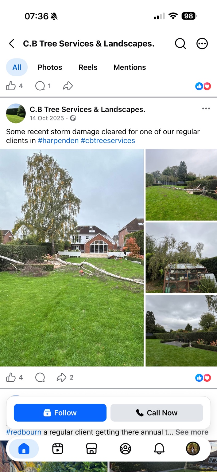 Storm damage and garden views