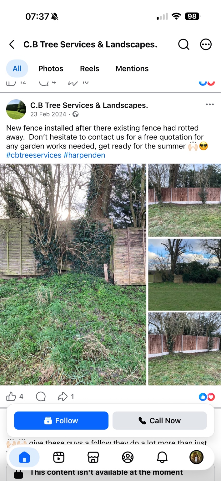 Original fence and replacement fencing