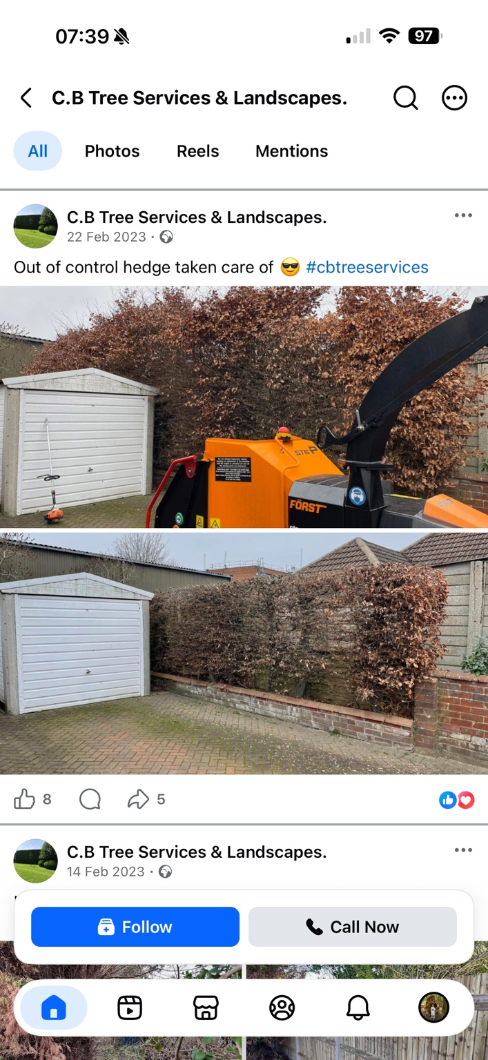 Hedge before trimming