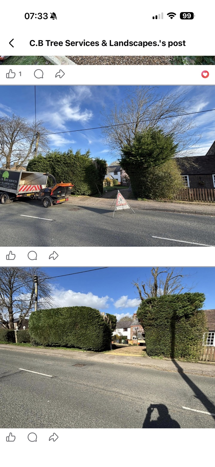 CB Tree Services truck and chipper beside the trees and hedges during the Kensworth job